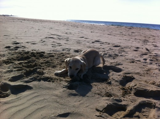 tango en las playas de cadiz